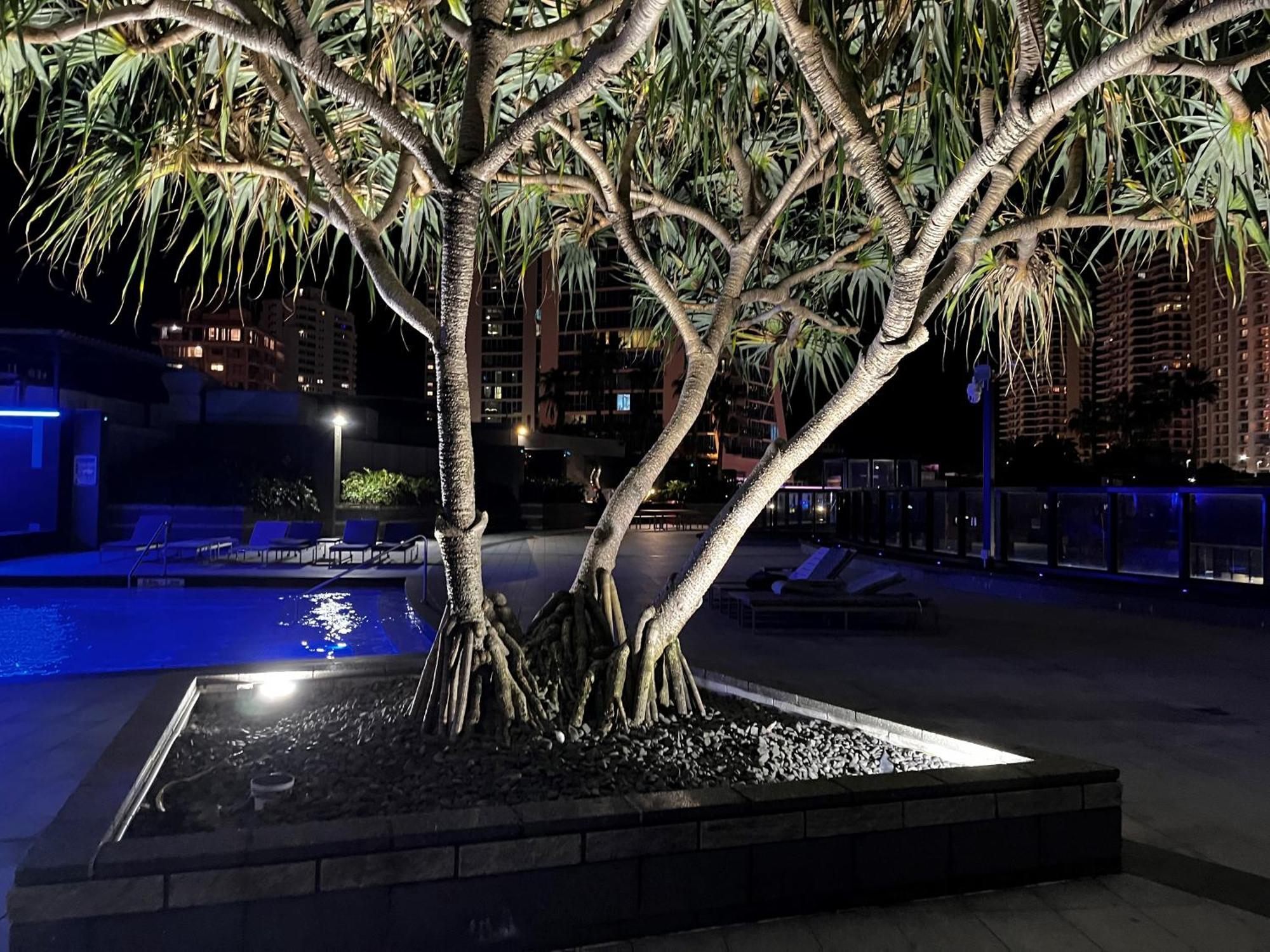 Circle On Cavil Holidays Gold Coast Exterior foto
